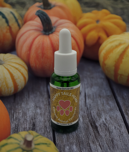 CBG Isolate Vibrant Tincture - Pumpkin Flavor