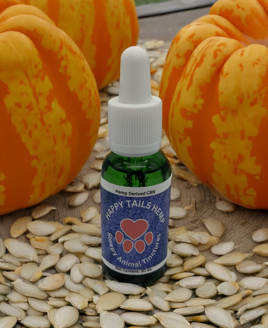 CBN Isolate Sleepy Tincture - Pumpkin Flavor