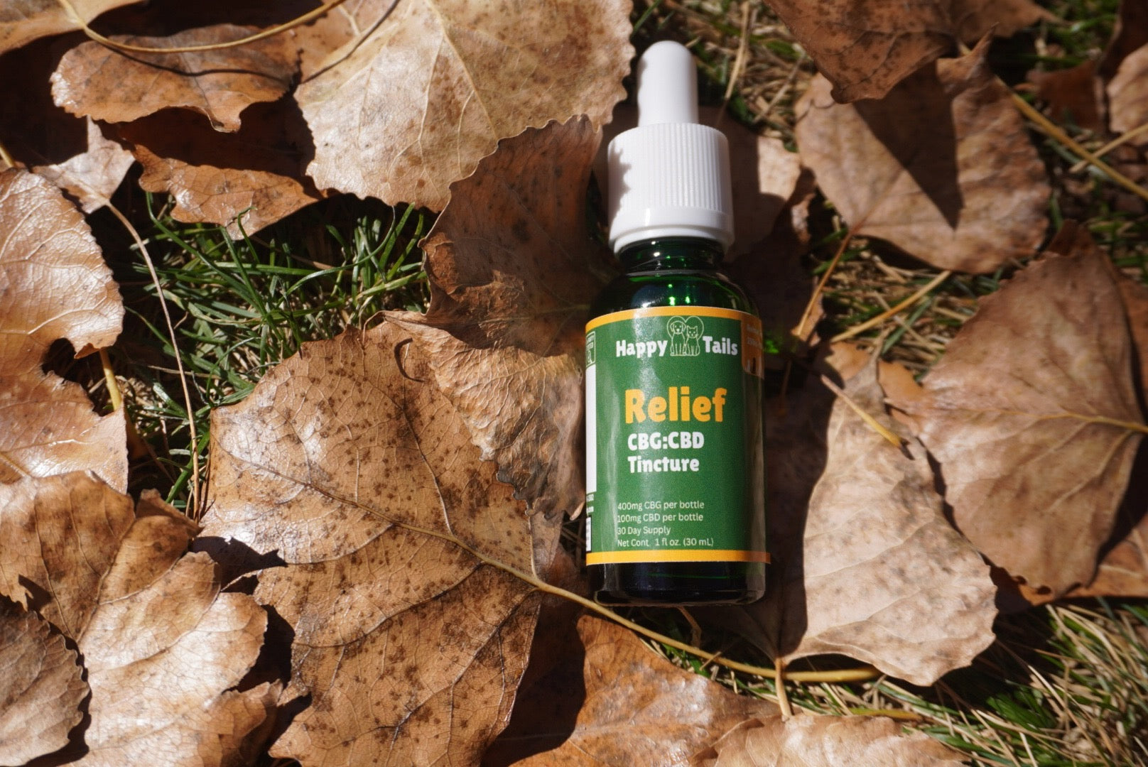 CBG:CBD Relief Pet Tincture in Leaves